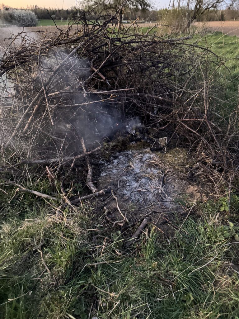 Vegetationsbrand in Nauort
